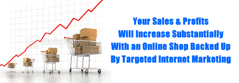 E Commerce Websites Help Your Business Grow